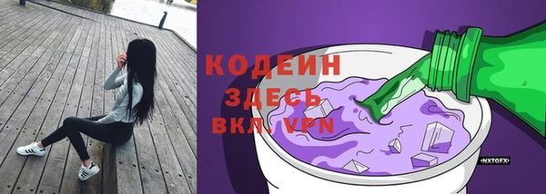 индика Абинск